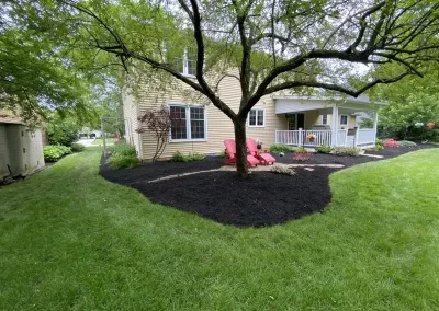 Garden Landscaping