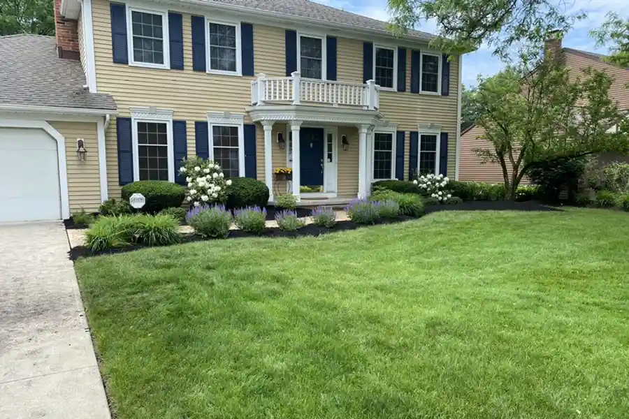 Reliable Landscape Design Services Landscape Design Services