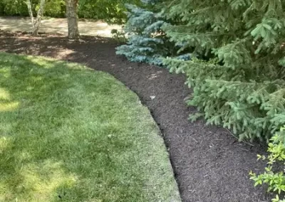 Landscape Services (10)