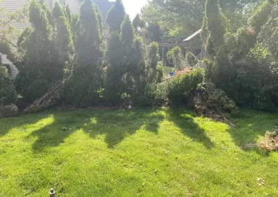 Landscape Services (11)