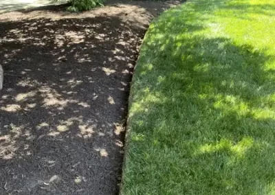 Landscape Services (12)