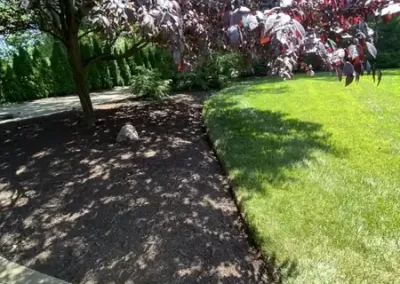 Landscape Services (14)