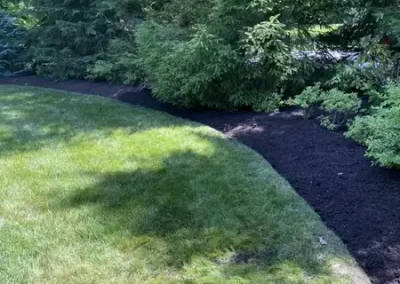 Landscape Services (16)