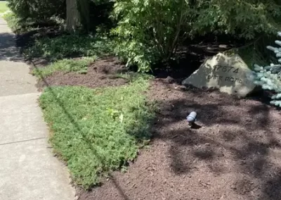 Landscape Services (19)