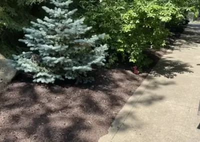 Landscape Services (20)