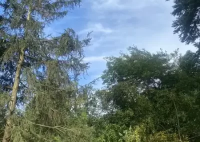 Landscape Services (24)