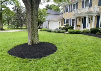 Landscape Services (4)