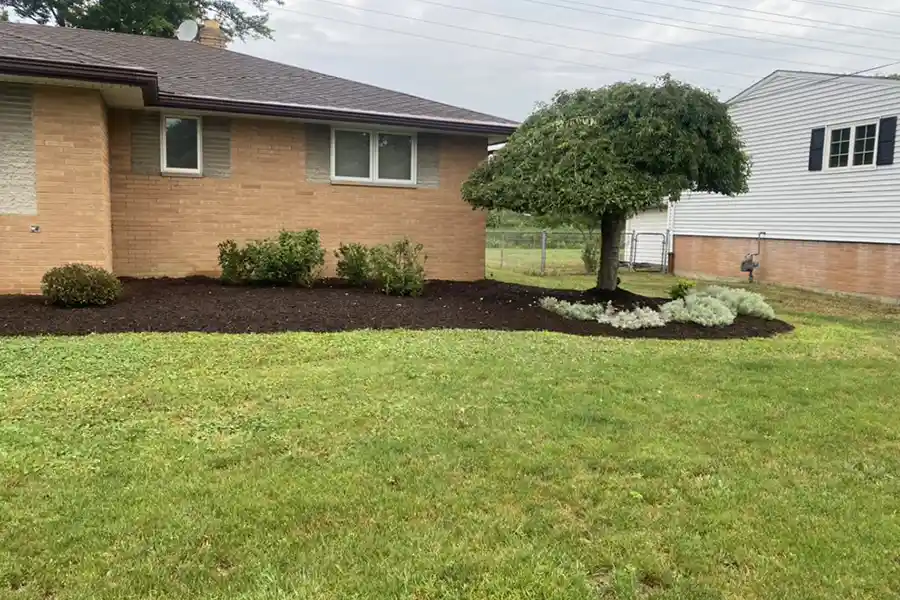 Reliable Lawn Care Lawn Care