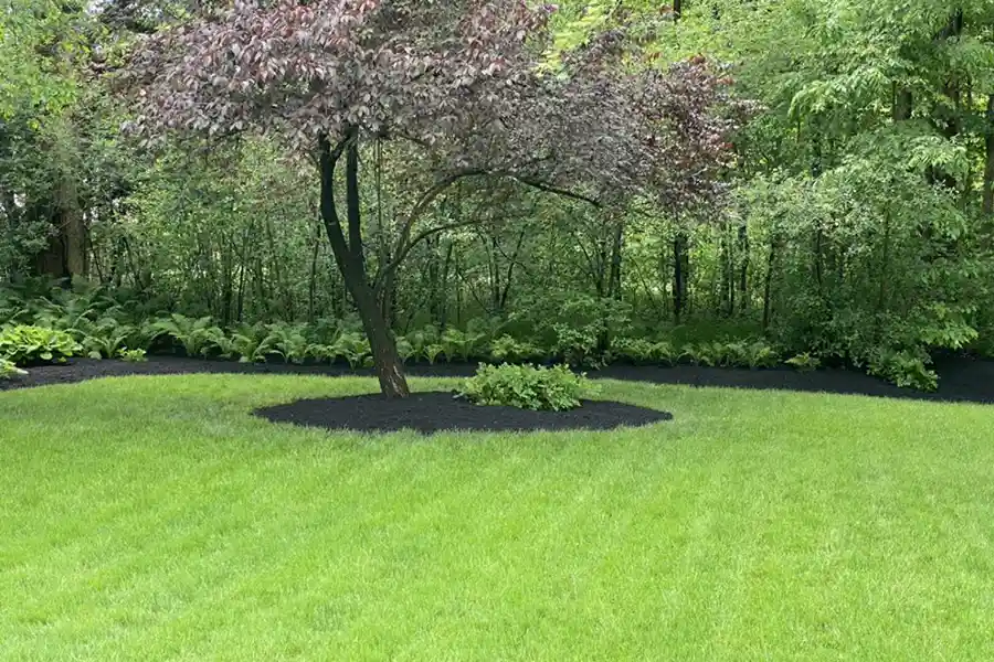 Reliable Lawn Mowing Lawn Mowing