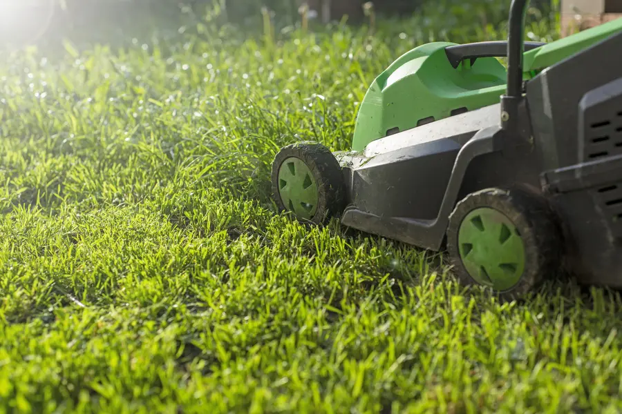 Common Lawn Mowing Mistakes And How To Avoid Them in Berea, OH Common Lawn Mowing Mistakes And How To Avoid Them in Berea, OH