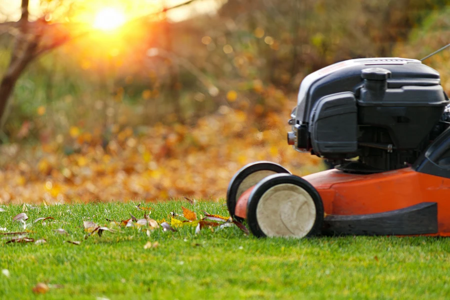 Lawn Care Mistakes Every Landscaper Should Avoid in Berea, OH Lawn Care Mistakes Every Landscaper Should Avoid in Berea, OH
