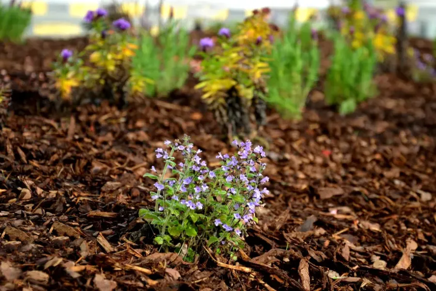 Mulching Tips For Weed Control In Your Garden Berea, OH Mulching Tips For Weed Control In Your Garden Berea, OH