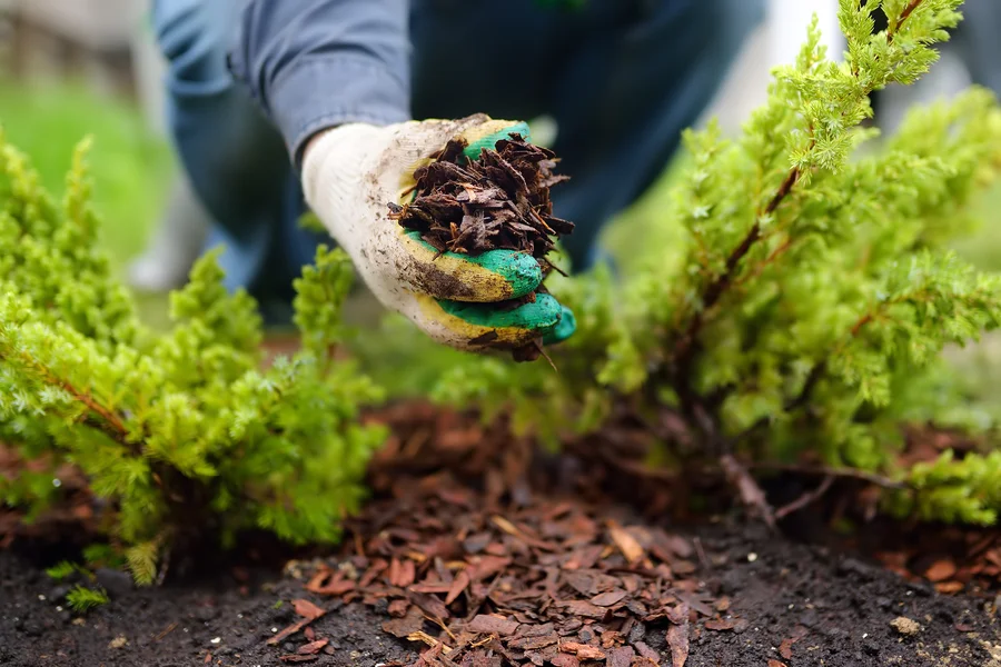 Mulching Tips For Weed Control In Your Garden in Berea, OH Mulching Tips For Weed Control In Your Garden in Berea, OH