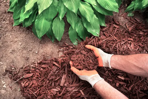 Professional Mulching Berea, OH Professional Mulching Berea, OH