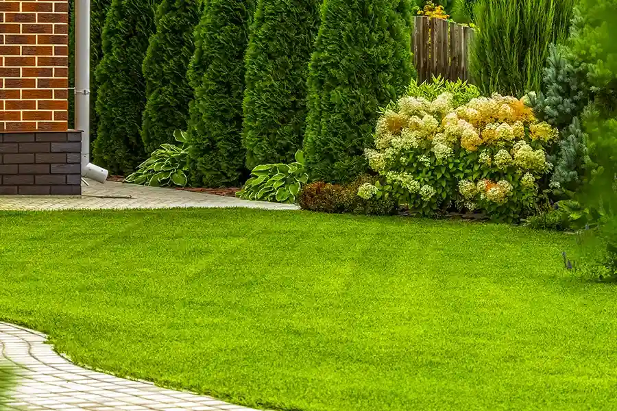 Reliable Lawn Care Berea, OH Reliable Lawn Care Berea, OH