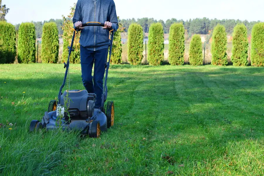 The Impact Of Grass Height On Lawn Health And Aesthetics Berea, OH The Impact Of Grass Height On Lawn Health And Aesthetics Berea, OH