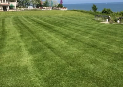 Quality Landscape Services